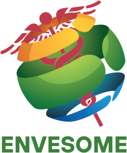 ENVESOME logo