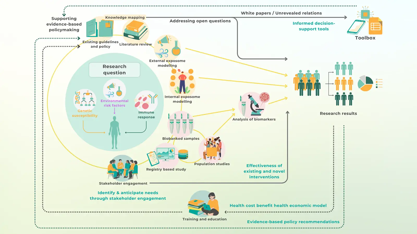 Visual overview of the EXPOSIM project, showing research pathways from genetic susceptibility and environmental risk factors to informed decision-support tools and policy-making