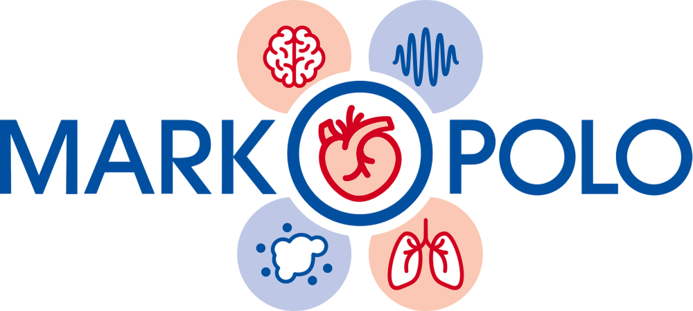 Brain and heart outline joined by an arrow and noise waveforms, representing air and noise pollution effects