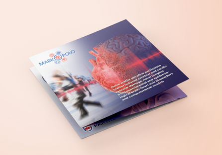 MARKOPOLO brochure mock-up